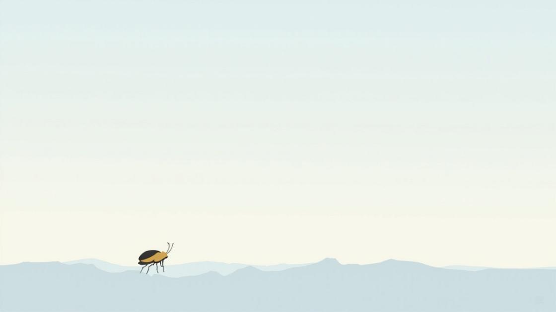open.taobao.com的一个小BUG