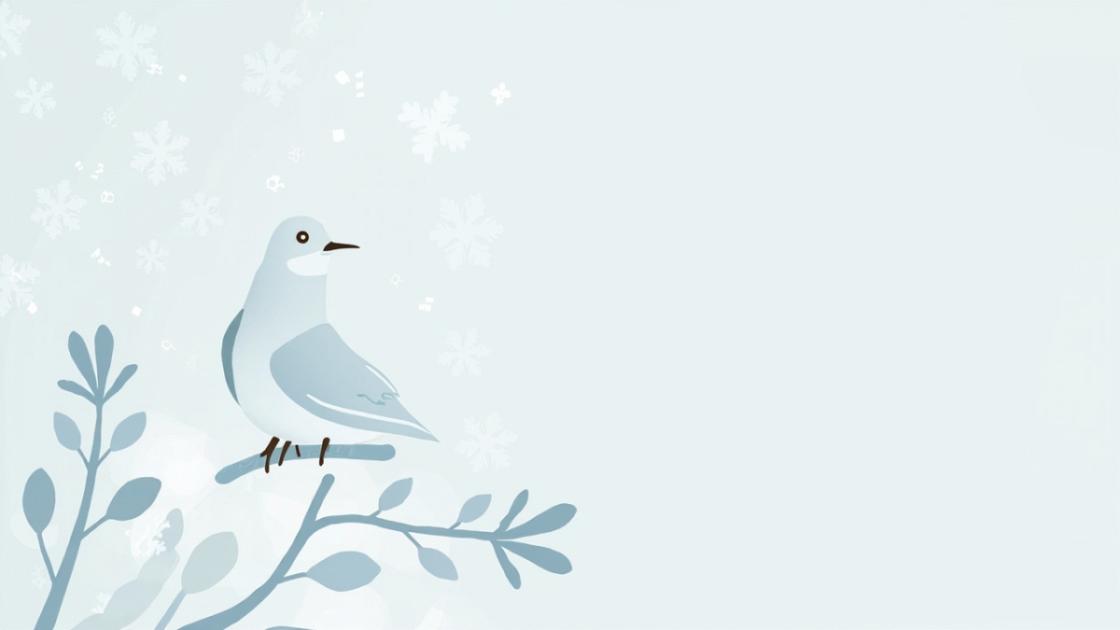 来自雪候鸟的关于JSON一些提示