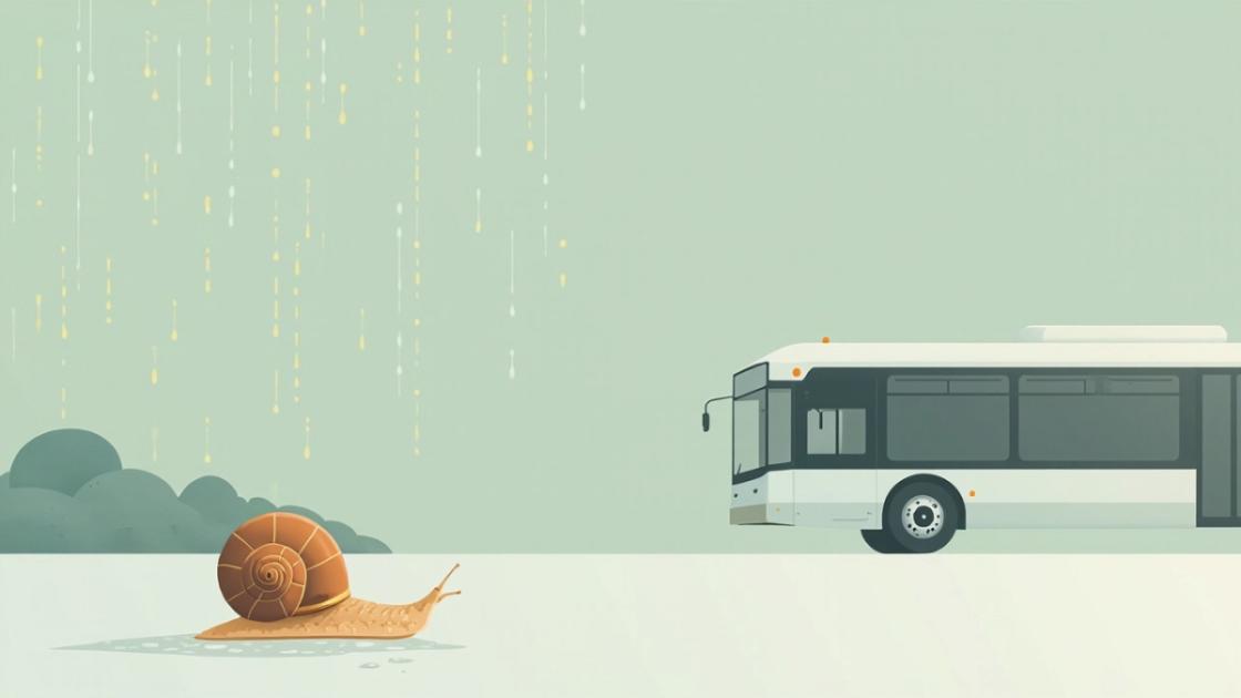 下雨，公车，蜗牛