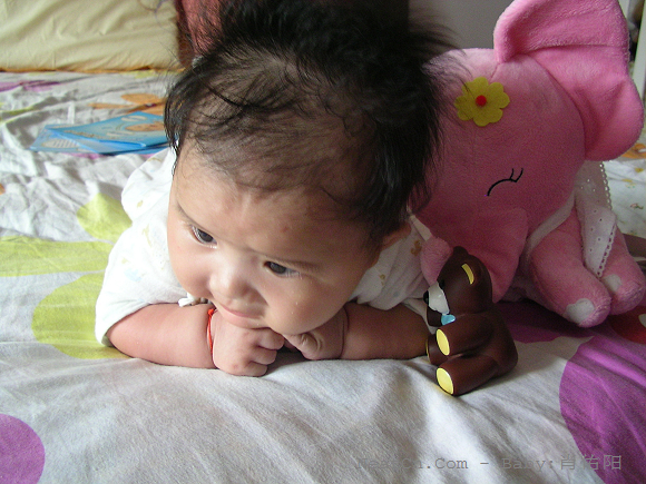 6d855ab0fb29502756a494b88a08f575
