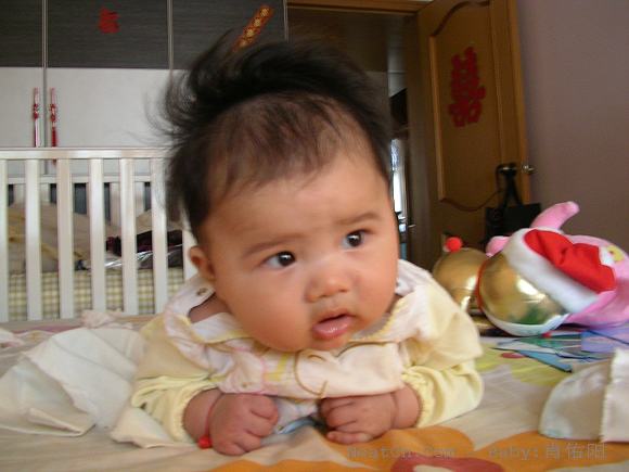 27c6031869c143a6bcc93410370c540d